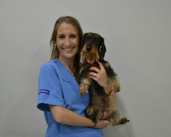 equipo veterinario en jerez de la frontera Blanca Macías García