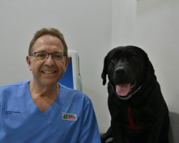 equipo veterinario en jerez de la frontera Lorenzo Macías Benítez
