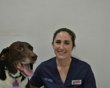equipo veterinario en jerez de la frontera Rocío Gutiérrez