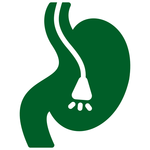 clinica veterinaria jerez de la frontera servicios endoscopia