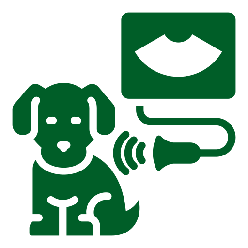 clinica veterinaria jerez de la frontera servicios Laserterapia