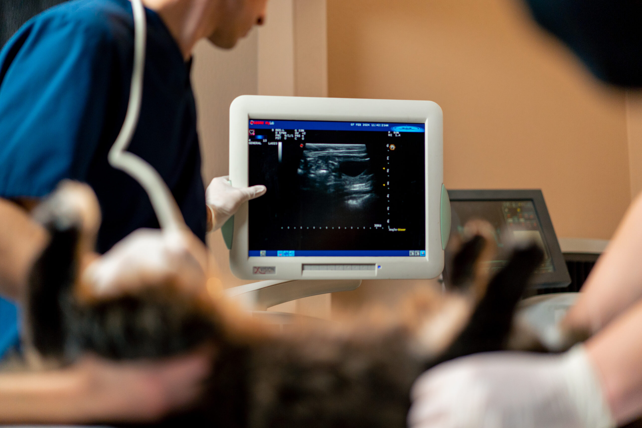 clinica veterinaria en jerez de la frontera Diagnóstico por Imagen y Laboratorio